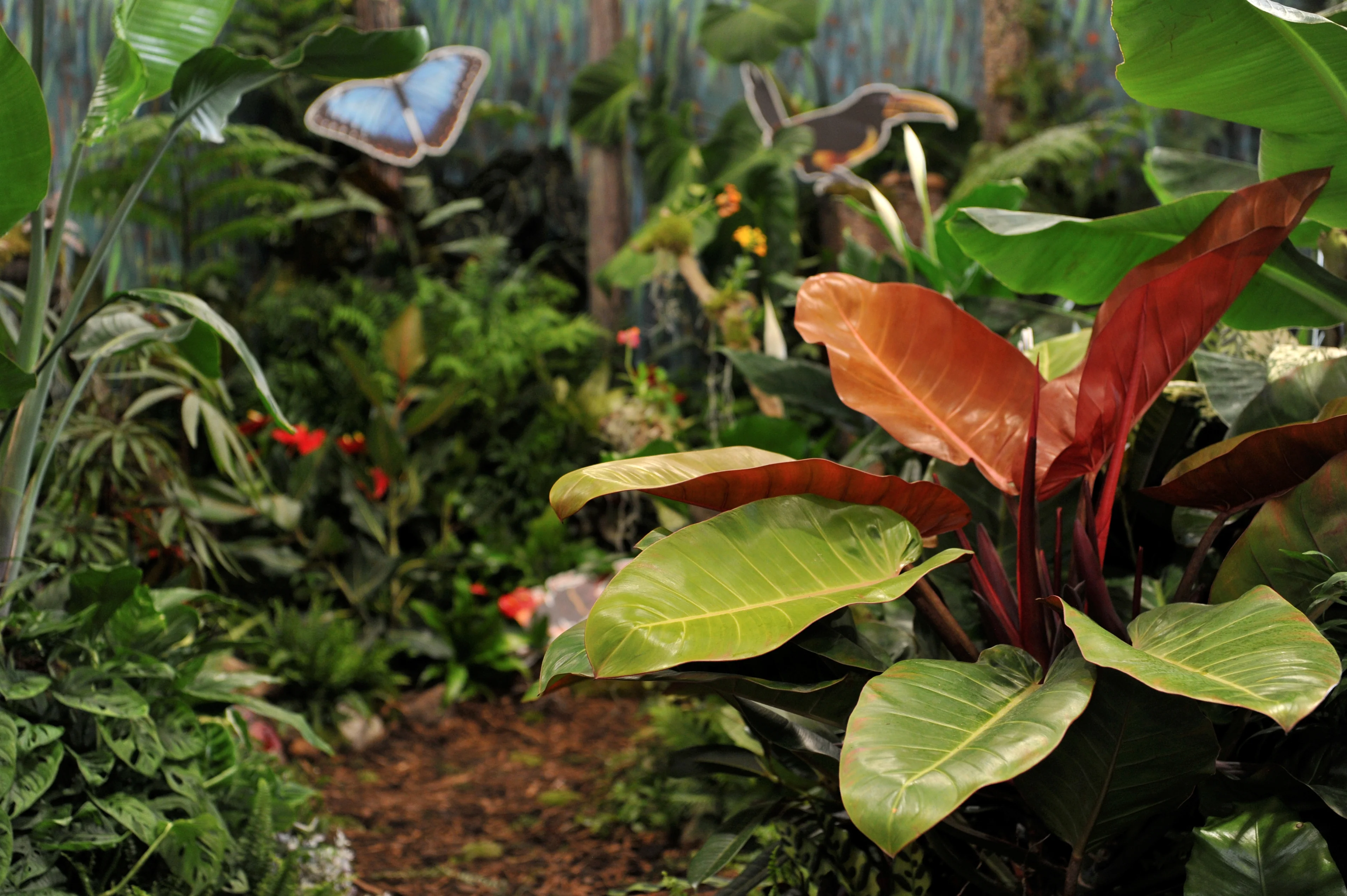 Bring Nature Home with Bristol’s Finest