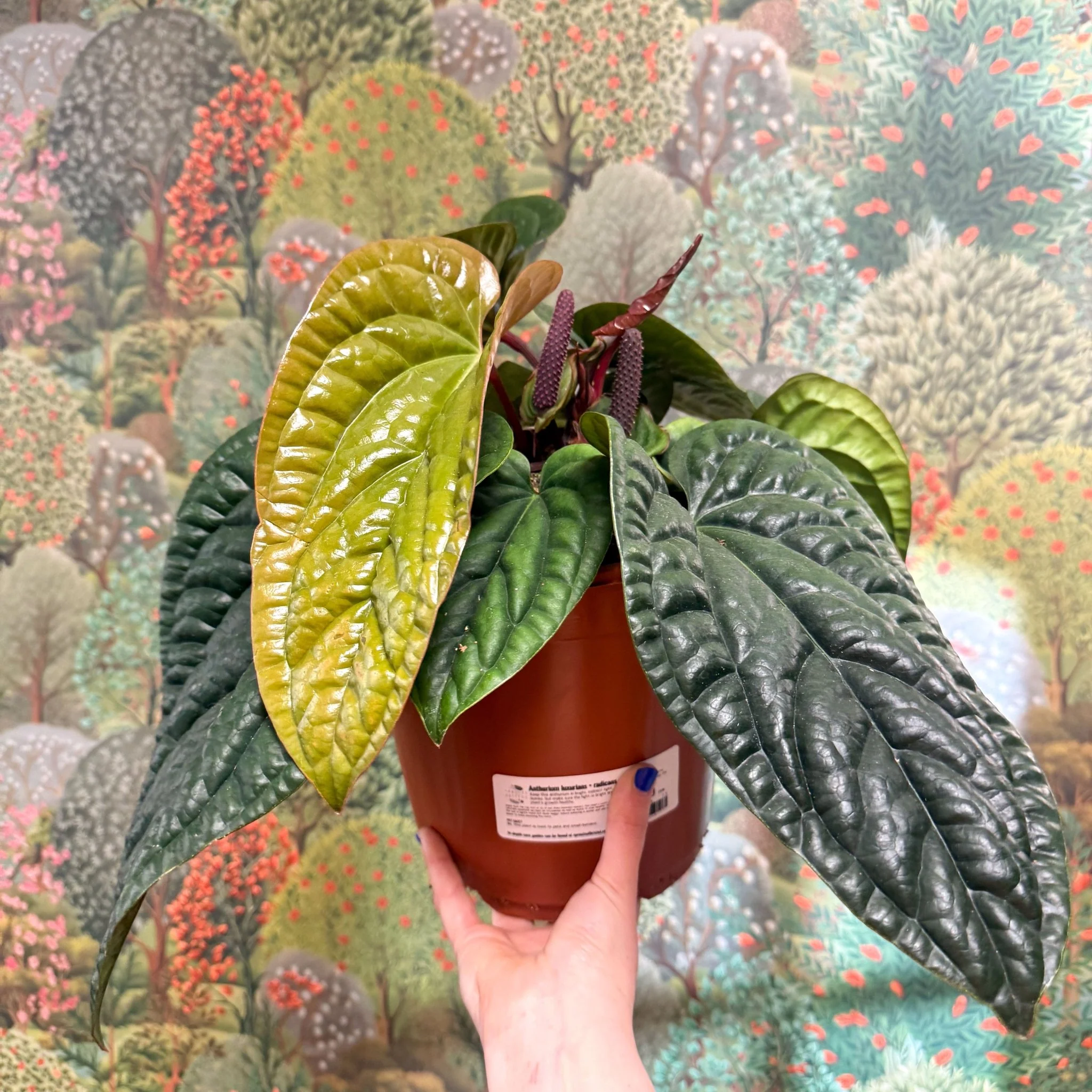 Product image 32