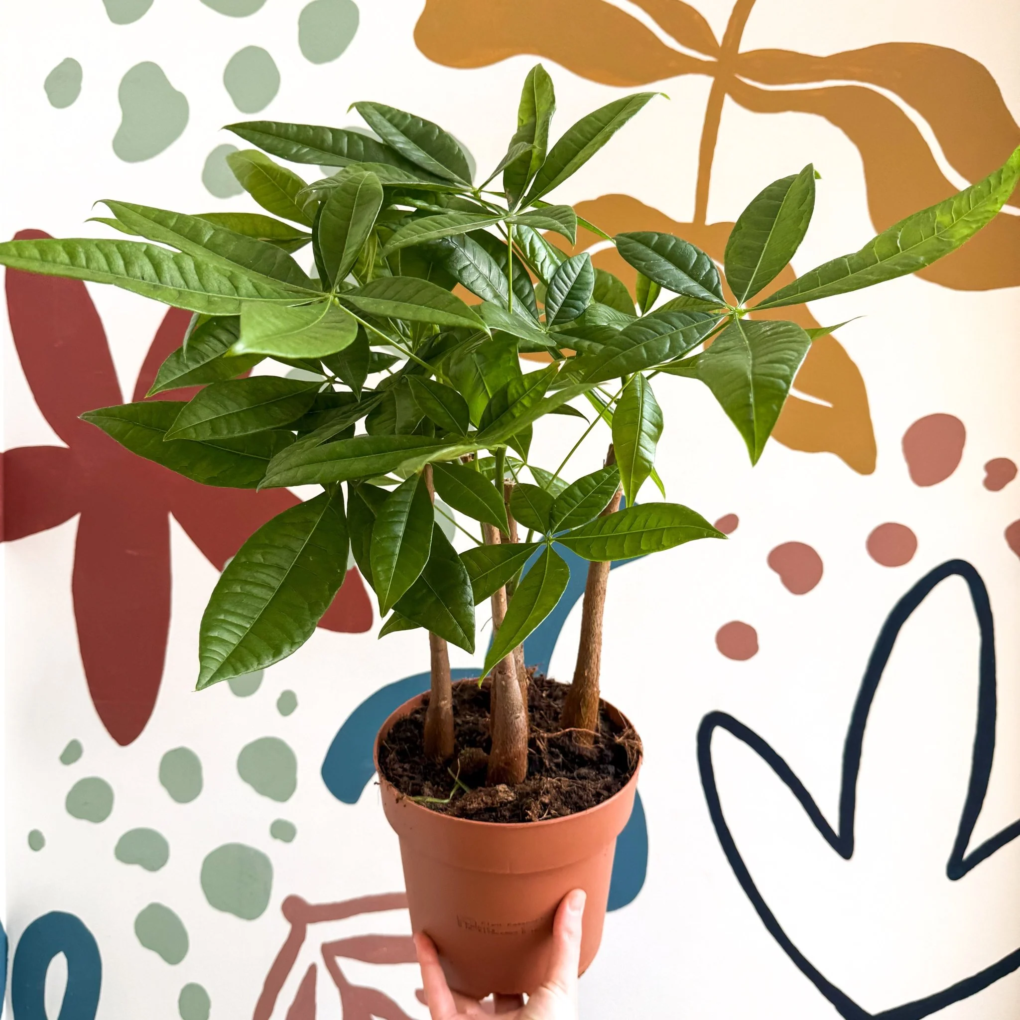 Product image 32