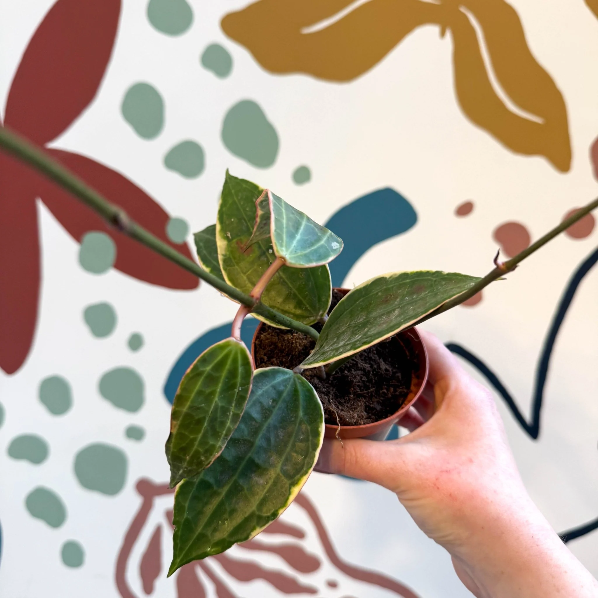 Product image 26