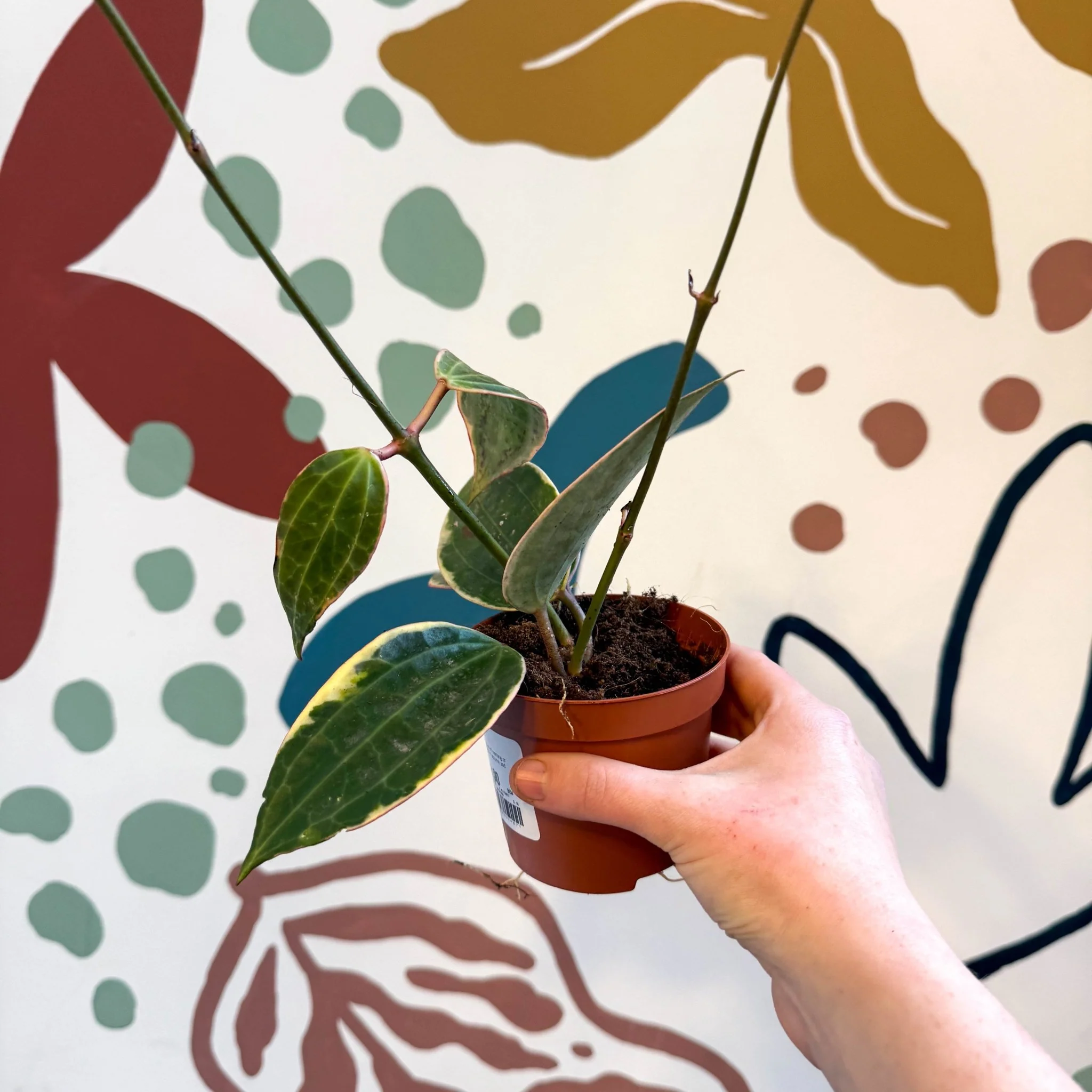 Product image 27