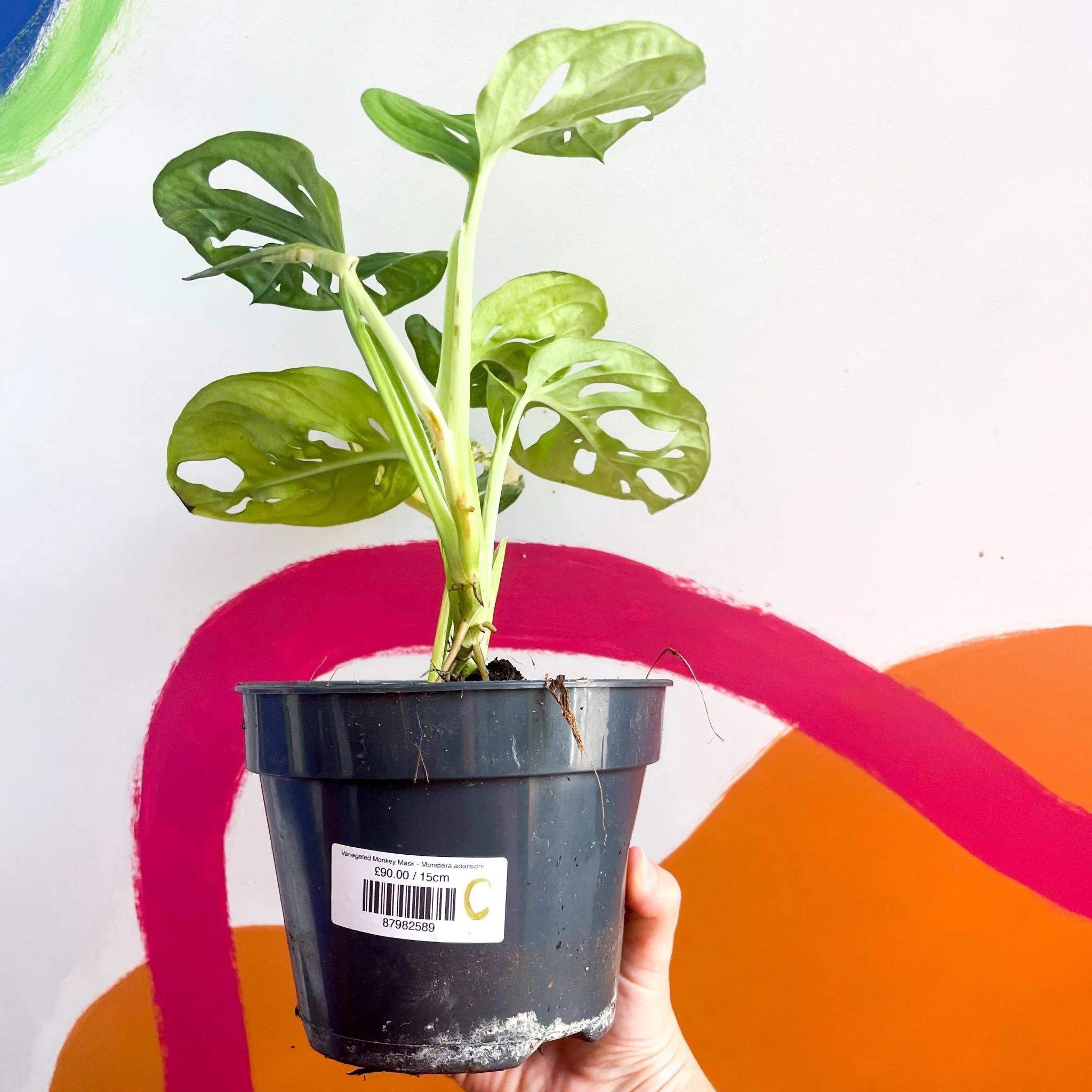 Product image 18